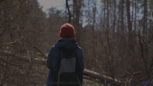 Клип, созданный на суперкомпьютере - потрясающе или пугающе - Another-Day -- Ketsa -- Night Vision