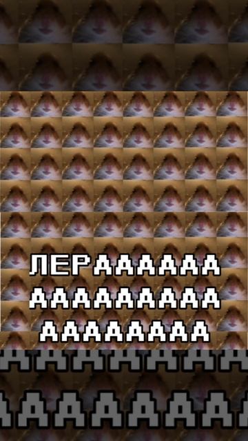 1000023996.mp4