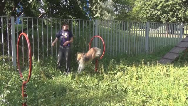 Лета 1.07.2019