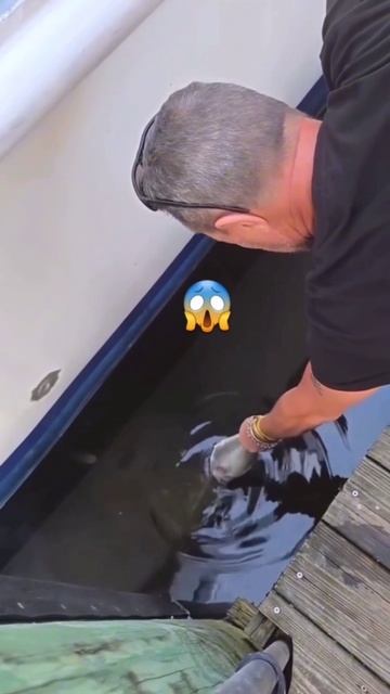😱 смотрите, что!
