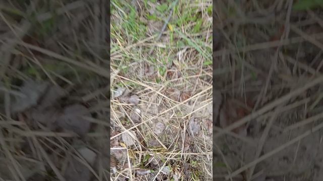 1000022320.mp4