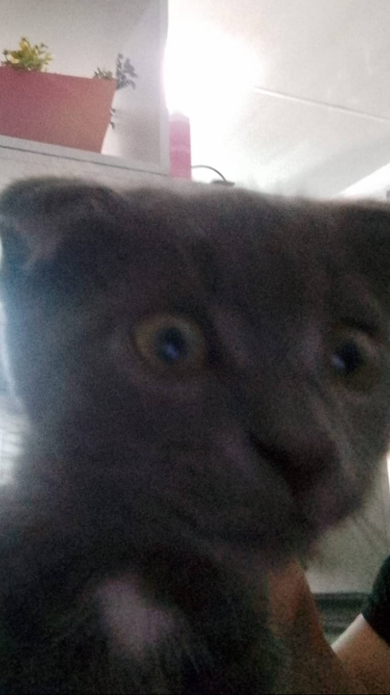 Хотел одно а получил другое😵💫😵💫😵💫😵💫😵💫😵💫😵💫😵💫