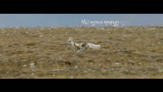 Заповедная Россия | iridium360 | Мы всегда рядом - ваш Permsputnik