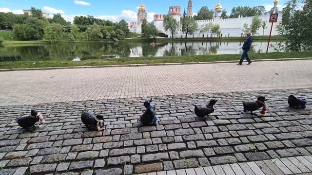 1.ПАРК У НОВОДЕВИЧЬЕГО МОНАСТЫРЯ.2.ПОГОДИНСКАЯ ИЗБА. #парк #интересныеместа #москва
