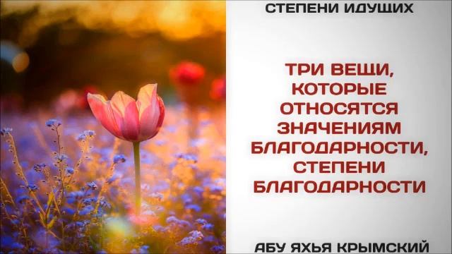 76. Три вещи, которые относятся значениям благодарности, степени благодарности  Абу Яхья Крымский