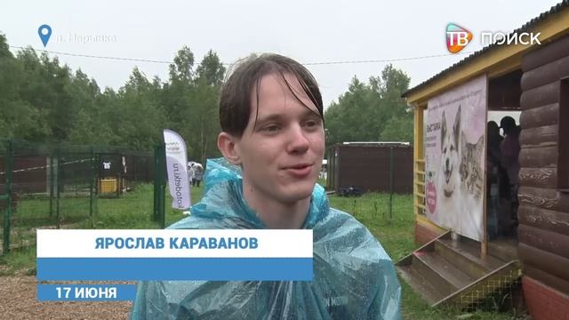В приюте -Котодетки- в Клину прошел благотворительный пикник