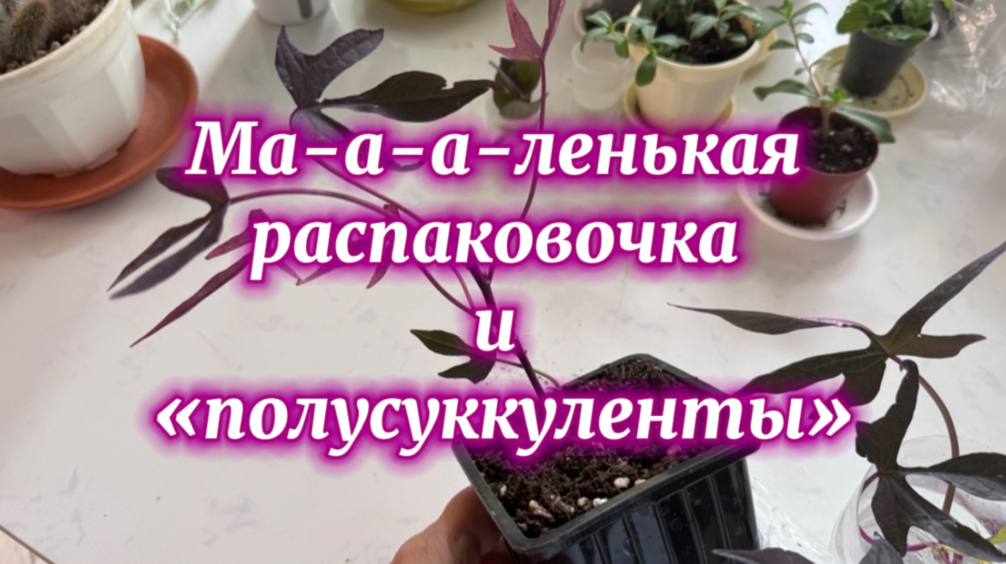 Пришёл заказ на ВБ.