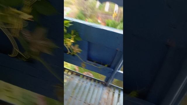 девятая часть как мы прячемся от мамы на втором этаже