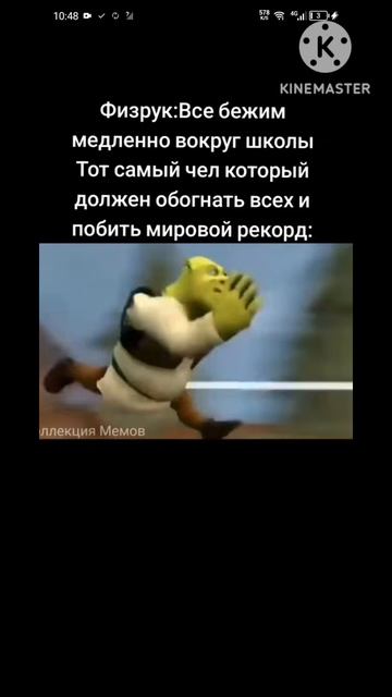 мем с Шреком