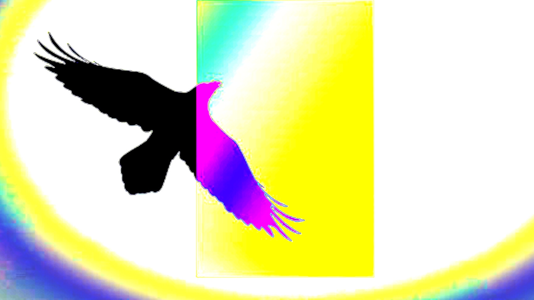 17-06-2025