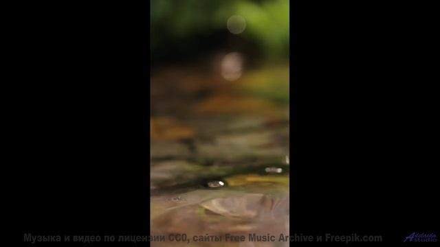 Музыка качает сильнее, чем буря над полями - One In The Same -- Derek Clegg -- Solar