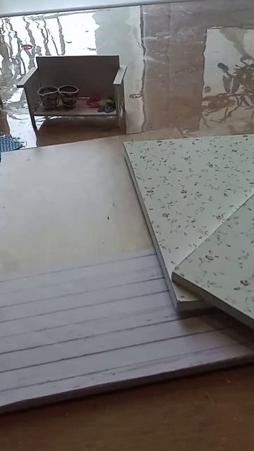 VID-20250608-WA0002.mp4