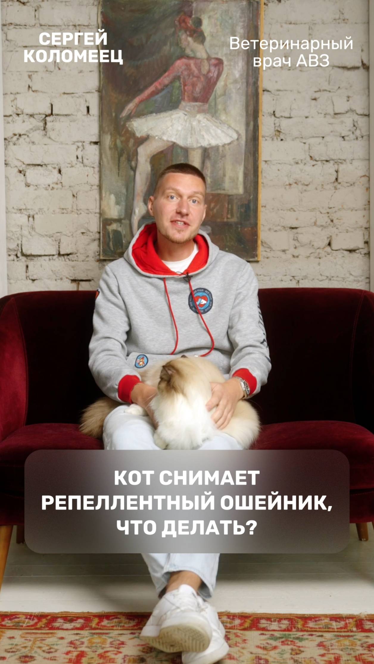Кот снимает репеллентный ошейник, что делать?
