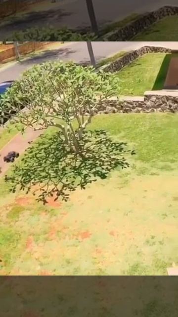 video_2025-06-16_10-17-07