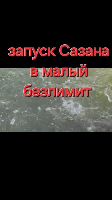 запуск Сазана