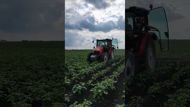 после дождя