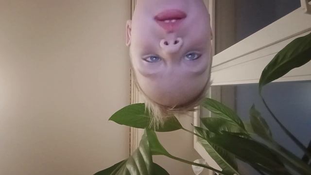 22 мая 2023 г.