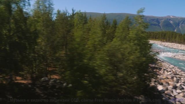 Мелодия звучит так, будто создана самой природой - The Call -- Podington Bear -- The Hump (Box Set D