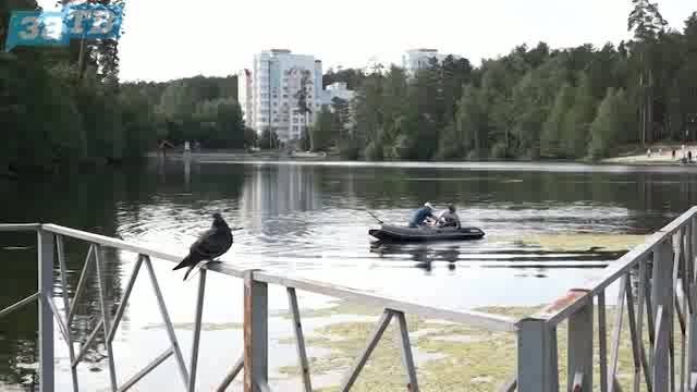 Новости Заречного от 17.06.25