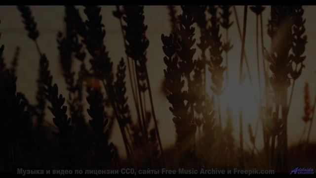 Музыка проникает глубже любого дыхания - Point-Pleasant-inst -- Shaolin Dub -- Macro Micro