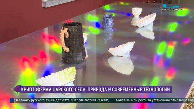 КриптоФерма «Царского Села»: природа и современные технологии