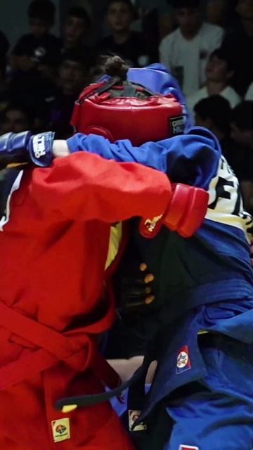 Combat SAMBO at its finest!