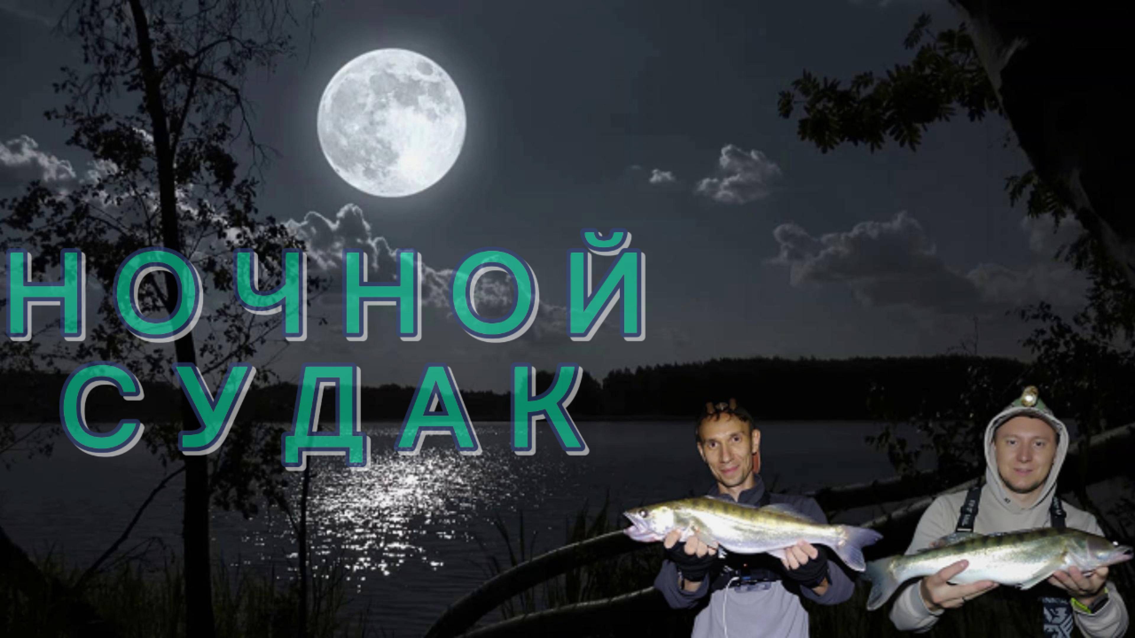 ЛОВИМ НОЧЬЮ СУДАКА на воблеры ⚡️ Рыбалка в Новосибирске🦈