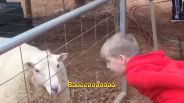 Забавные дети: подборка смешных видео!