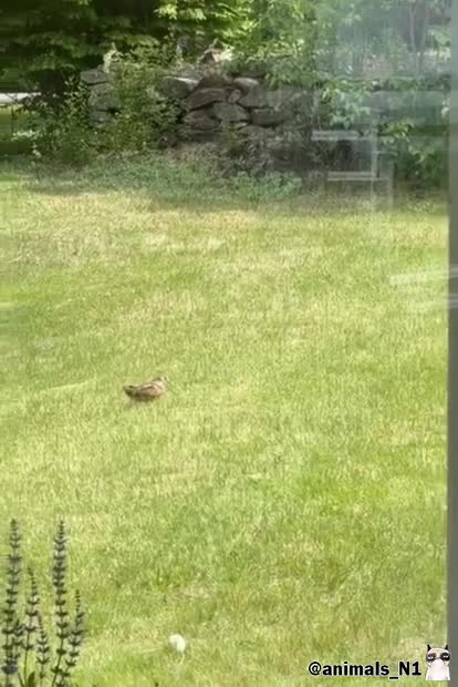 Подпишись 👉 https://vk.com/ykrasheniy_iz_kamny