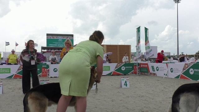 Сравнение открытого класса