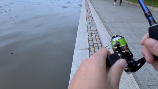 Дикий окунь чуть не оставил меня без катушки. Рыбалка в городе.