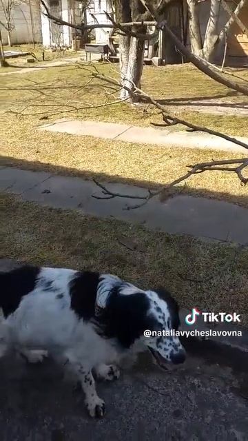 Если долго мучиться...)))