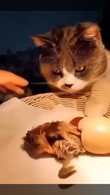 Чужих детей не бывает🥰