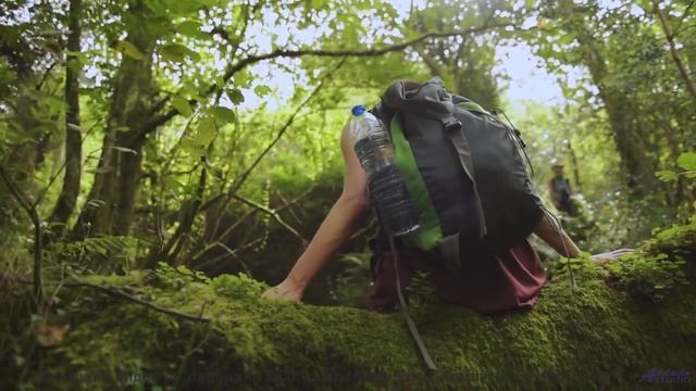 Ты не поймешь, как жил без этого раньше! - _Tiempo Santo (VII) -- opo -- Estudios Indigeniformes