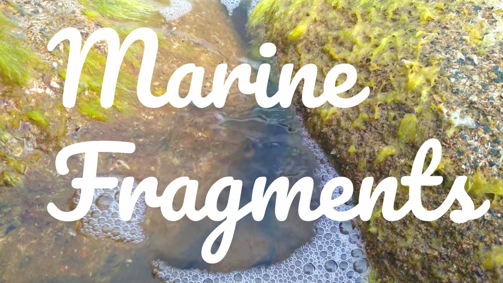 Marine fragments