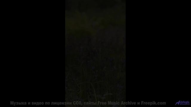 Этот звук - ТВОЙ НОВЫЙ НАРКОТИК! - Amber Glow -- Scott Holmes Music -- Inspiring Background Music