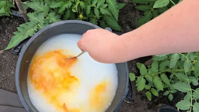 ПОЛ литра под кустик и ТОМАТЫ, ОГУРЦЫ, ПЕРЦЫ растут и плодоносят, как на дрожжах