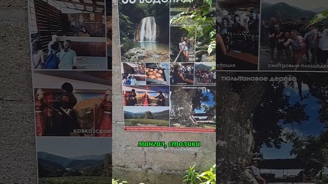 Сочи.Вардане. Гостевой дом"Виноградная Лоза".