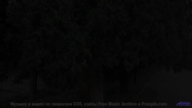 Пейзажи раскрываются так, как без музыки не способны - Boardwalk -- HoliznaPATREON -- Summer Series