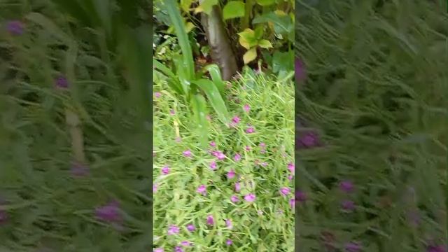 Гостевой дом