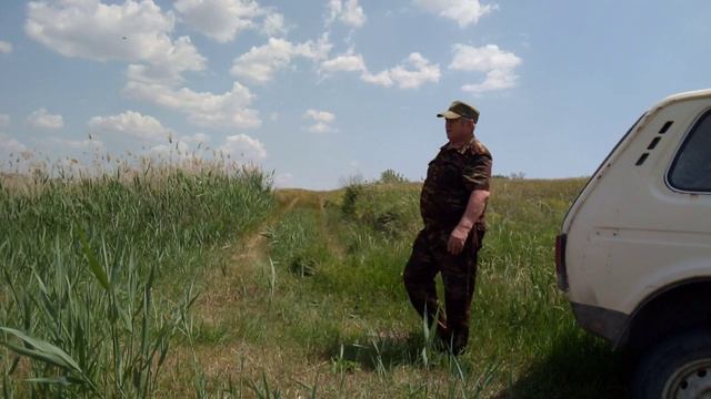 Родимая земля