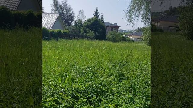 д. Красный Балтиец 50:18:0030421:1851