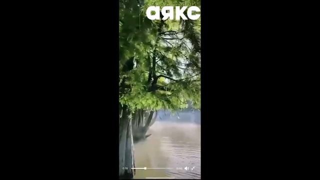 Переезд на юг