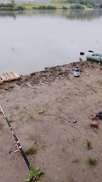 резинка на живца