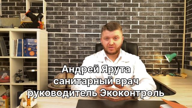 Выведем клопов, тараканов, клещей за 1 час. Безопасно для детей и животных