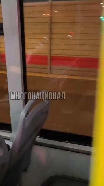 Пьяные абу-бандиты напали на москвича из-за длинных волос и попытались разгромить автобус