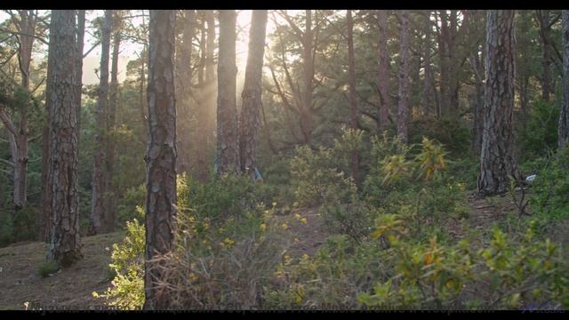 Песня, которая начинается с 'а давай поедем туда, где нас нет' - Glimmer -- selfpity -- Unhappy Thou