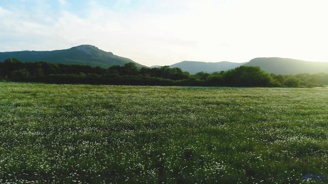 Видео, которое можно смотреть только в состоянии невесомости - испытайте! - Light At The End Of The