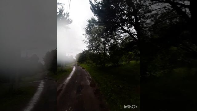 Дождливый июньский вечер.mp4