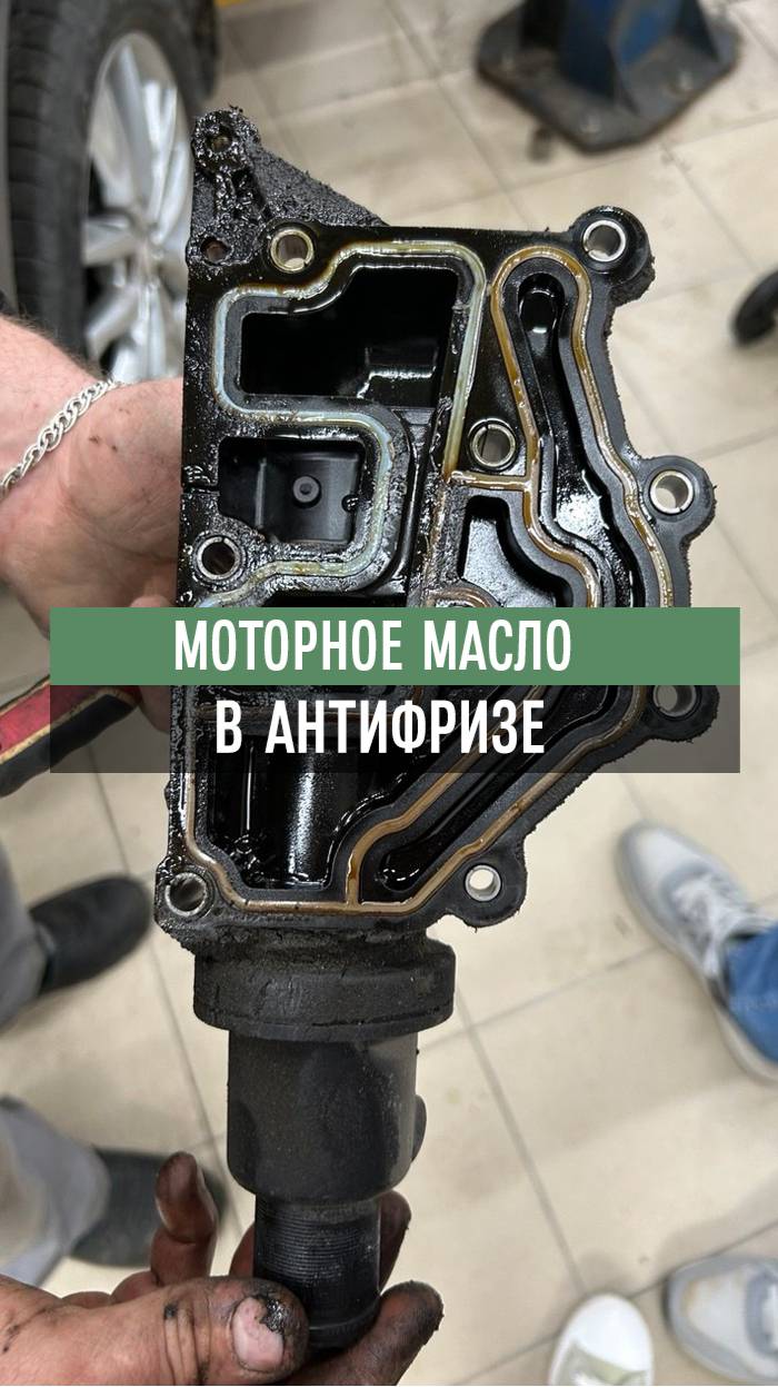 Замена антифриза Флюенс